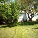 Mowed yard.
