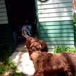 Sydney and kalli playing