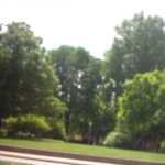 Park scene