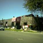 The Horse
