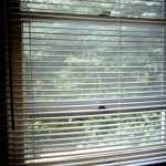 Out the bedroom window