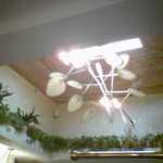 The weird fan.