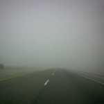 Foggy drive