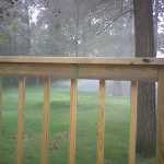 Fogging